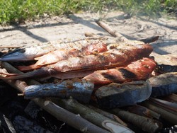Bajawa, Air Panas dan Ikan Bakar Enak Dari Flores