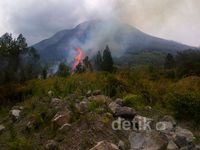 Hutan di Lereng Gunung Sinabung Dibakar