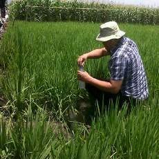 Sumur Bor di Ngawi Keluarkan Gas dan Mudah Terbakar, ESDM Turun Tangan