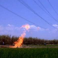 Kobaran Api Setinggi 8 Meter Keluar dari Sumur Bor Milik Warga Ngawi 