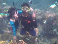 Ada Dunia Bawah Laut di Karimunjawa
