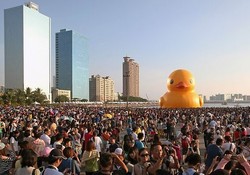 Bebek Karet Raksasa Kini Muncul di Taiwan!