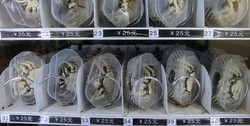 Kepiting Hidup Juga Bisa Dibeli di Vending Machine Ini