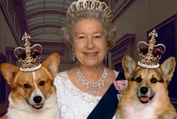 Anjing Milik Ratu Inggris Diberi Makan Fillet Steak dan Dada Ayam