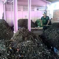 Taman-taman Itu Subur karena Kompos Sampah Organik