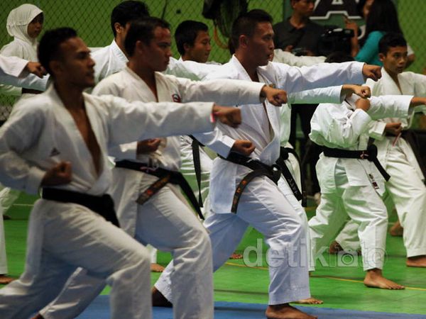 Shotokan Coaching Clinic 2013