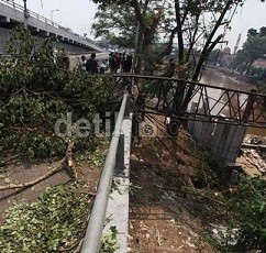 Sugeng Tewas Tertimpa Pohon karena Crane Patah di Ciliwung