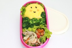 Sun Shine Bento