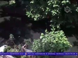 Membenahi Daerah Aliran Sungai