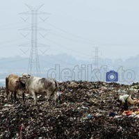 Anggaran Pengelolaan Sampah di LPA Benowo Dipertanyakan