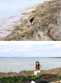 Kupang, Negeri Seribu Karang