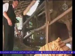 Diduga Berilmu Santet, Pasutri Ditemukan Tewas di Kandang Sapi