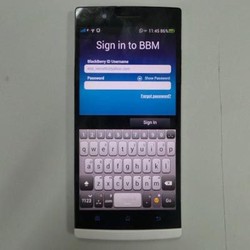 Jadi Kapan BBM untuk Android & iOS Resmi Dirilis?