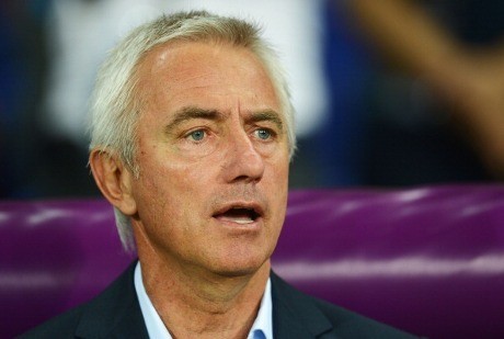 Bert van Marwijk Pelatih Baru Hamburg
