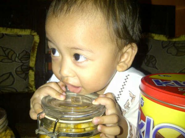 Zidan Afandi, 1,10 Tahun, Lelaki