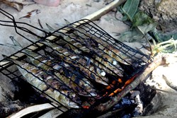 Ikan Bakar ala MEREKAD