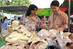 Ayam Kampung Palsu yang Dicelup Bahan Berbahaya Ditemukan di Malaysia