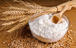 Simpan Tepung Terigu Dengan Cara Ini Agar Tidak Berkutu