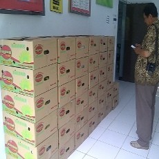 Kualitas Pisang Sudah Diakui Internasional
