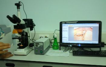 Inilah Pusat Riset Neurosains Swasta Pertama di Indonesia