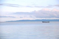 Di Maluku Juga Ada Bunga Bangkai!