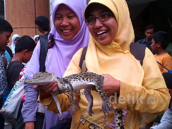 Mengintip Pameran Reptil di Gedung Perpustakaan Riau