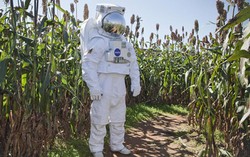 NASA Sedang Uji Coba Tanam Sayuran di Luar Angkasa