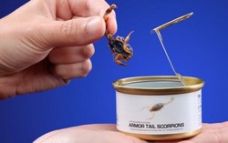 Ulat dan Kalajengking Kalengan, Camilan Tinggi Protein