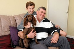 Gara-gara Makan Sekilo Batu, Anjing Ini Harus Dioperasi