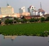 Tinjau Waduk Tomang, Jokowi: Ini Memang Tidak Terawat