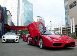 Naik Kuda Jingkrak Bikin Tarif Ruhut Terdongkrak