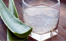 Lidah Buaya, Minuman Segar Kaya Nutrisi dan Khasiat