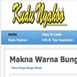 Dulu Sony AK, Kini Kudunyahoo