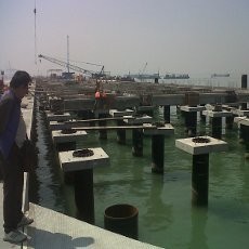 Berkonsep Eco Green Port, Teluk Lamong Ganti BBM dengan Listrik