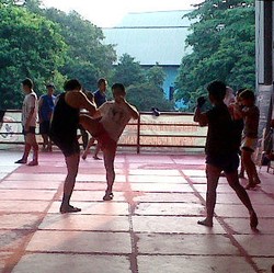 Pelatnas Muaythai, Target Berprestasi di Tengah Keterbatasan
