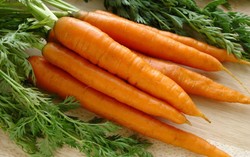 Wortel Bikin Kulit Halus dan Rambut Lebih Lembut