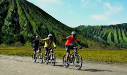 Menantang! Naik Sepeda Gunung ke Puncak Bromo