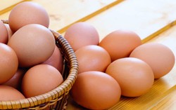 Perkuat Kekebalan Tubuh dengan Konsumsi Telur dan Seafood