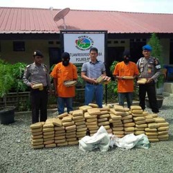 3,4 Kuintal Ganja Diamankan di Pidie, akan Dikirim ke Jakarta