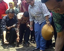 Ikut Tanam Kedelai di Bantul, Jokowi Jadi Sasaran Foto