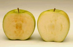 Agar Apel Kupas Tak Berwarna Kecokelatan, Siasati dengan Trik Ini!