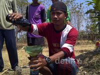 Cari Air, Petani Tuban Dapat Minyak Mentah