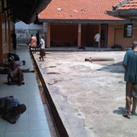 Gaya Ceplas-ceplos Fatma, Penghuni yang Berasal dari Bawah Pohon