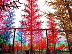 Unik, Hutan Lampu di Light Forest i-City Malaysia