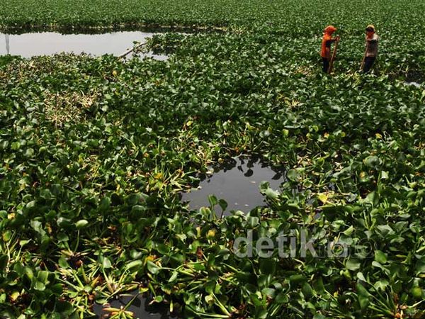 Pemprov DKI Kebut Normalisasi Waduk