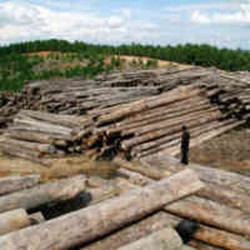 Kayu dan Produk Kayu Indonesia Akhirnya Diakui Legal Oleh Uni Eropa