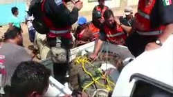 Puluhan Buaya Terbawa Banjir Masuk Pemukiman