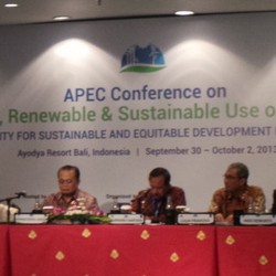 Pemerintah, Pengusaha, dan Akademisi Negara APEC Bahas Energi Terbarukan
