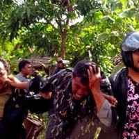 Macan di Lumajang Lukai 4 Orang, Terparah Ketua Tim Dokter Penangkapan