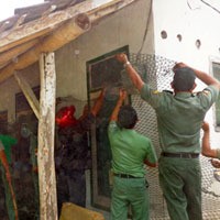 Terkam Tiga Orang, Macan Kumbang Itu Ditembak Mati